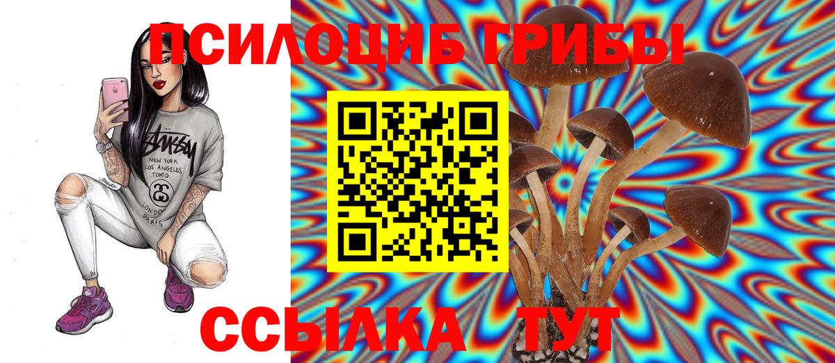 где найти   Вход с VPN  Куйбышев  Галлюциногенные грибы мухоморы 